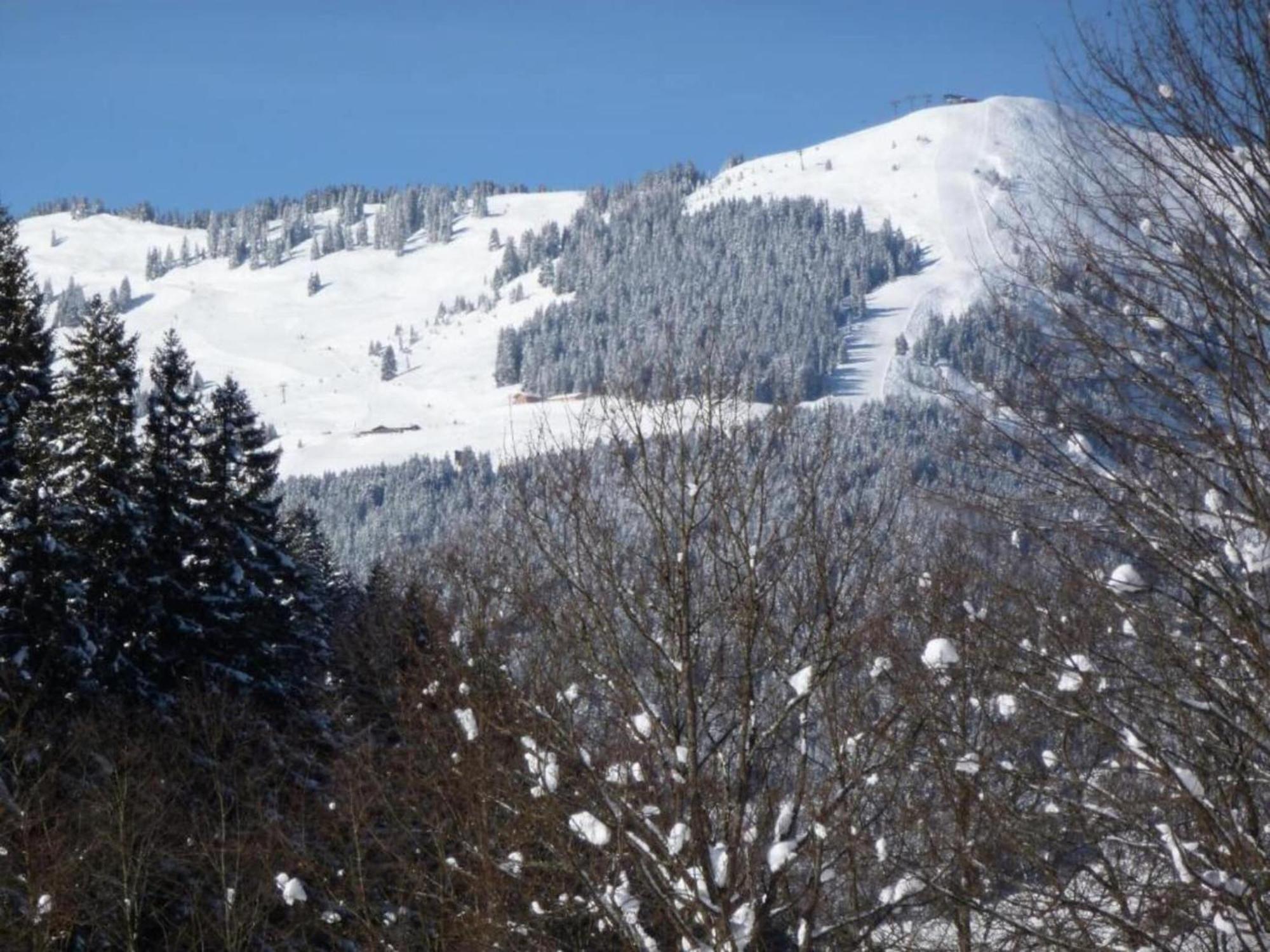 In Hinterglemm Near Area Saalbach-Hinterglemm